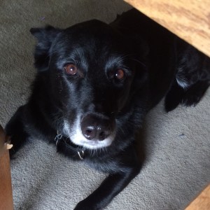 0138dd038daf7e5cd309453877ee33655867e19901