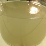 014e7881e72e464c525e39e528ec3eed7bac8cf4ad