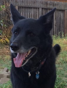 0154ec6d24829152f2cf7a28cf76fbaf47f31225b3