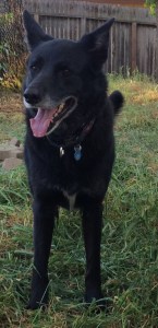 0154ec6d24829152f2cf7a28cf76fbaf47f31225b3