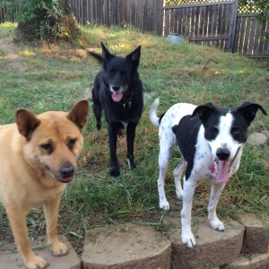 01a6773661a04796ee31123b0947728aa09c193a79