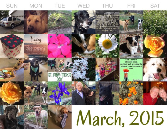 01c45a098fbd7987a84c72dec9099587b878675dce