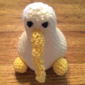 Day 22 Wellington the Kiwi2