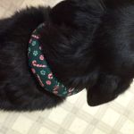 Neck Cooler on Mindy