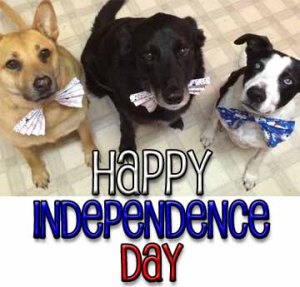 Happy Independence Day2