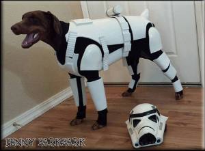 Star Wars Dog