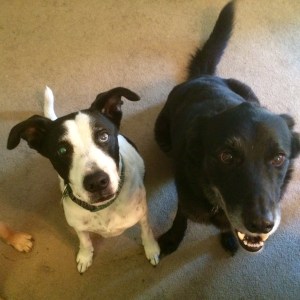 File Oct 23, 5 15 20 PM