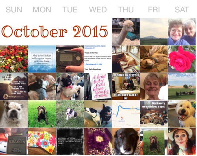 File Nov 23, 10 06 09 AM